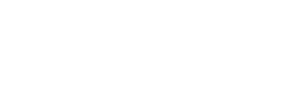 Business Mechanics logo (white)